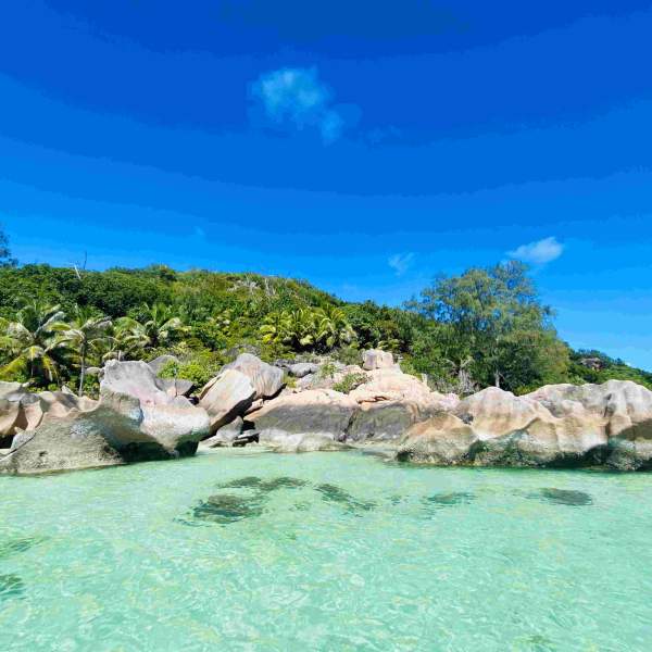 Allez nager avec les poissons dans une eau cristalline