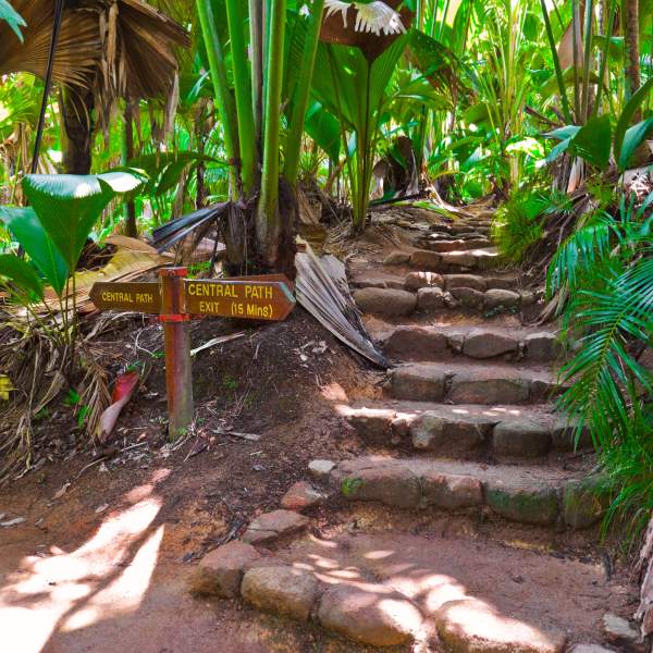 Gehen Sie auf Entdeckungsreise im Vallée de Mai