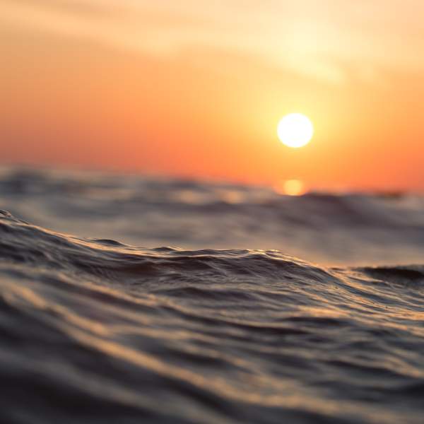 Photo Cross the Atlantic Ocean on a catamaran flotilla