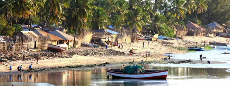 Croisière Pemba Bay